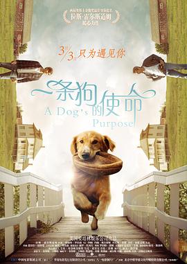 黄色影视免费看